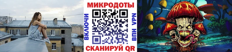 ссылка на мегу как войти  Алагир  маркетплейс телеграм  Галлюциногенные грибы Psilocybe 